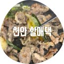 오리랑돼지랑(할매오삼구이) | 천안 할매댁 / 레트로 진하게 말아주는 모임 청당동맛집 청수동 오리로스 냉삼 오리주물럭