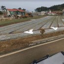 합정미소공인중개사사무소 이미지