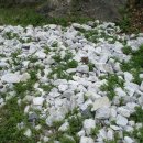 (주)충무화학 이미지