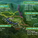 치유의숲 진입도로 이미지