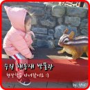 세영어린이집 이미지