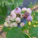 장곡농장 이미지