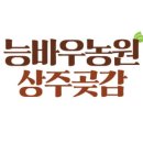 맛있는곶감농원