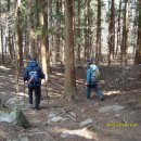 천전초등학교 이미지