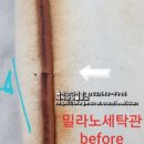 밀라노크리닝