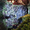 일본 도쿄 정원답사 2024 (10) - (2024.6.7) 호텔 뉴 오타니 도쿄 가든타워 정원 (ホテルニューオータニ庭園) 이미지
