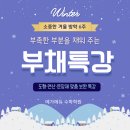 초지초등학교 | 📘 초지초·별망초·호원초 초등 겨울방학 부채(부족함을 채워주는) 특강 안내