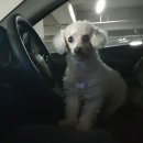 태산 우리동물병원 이미지