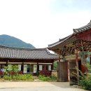 보현다원