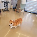 학하서로 이미지