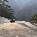 삼화정비 | 나의 첫 등반, 두타산 후기