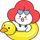 착한펫#