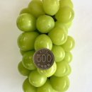 제네농장 이미지