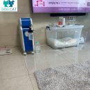 대정로(유성-46) | 🐾 “한 주 동안 수고한 우리 아이, 오늘은 푹 쉬게 해주세요”