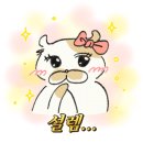 베리베리솔티 네이버블로그