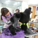 중앙미용학원 이미지