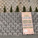 남해-190 | 반려견전용 개별 애견운동장이 있는 경남 남해 나인뷰피크닉 멍멍파크 후기
