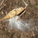 가장 아름다운 노래 이미지