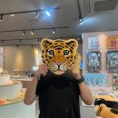 발토앤제이 | [판교] 파미어스몰 파충류 입양 카페, 주말 아이와 갈만한 곳 - ‘쿠펫과발토앤제이’ 솔직후기