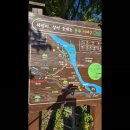 소리의섬 Daum카페