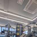바디퓨처퍼스널트레이닝