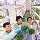 주한농장 이미지