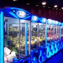 라스베가스오락실 이미지