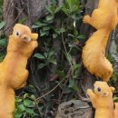 삼성열린생태 어린이집 이미지