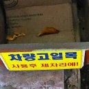 차량 고임목 준비해주실순 없나요? 이미지