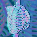 주식회사 다인테크 이미지