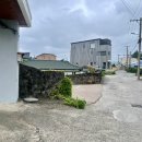 제주청년살이 이미지