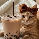 벗과 친구란? 이미지