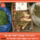 영암상회 이미지