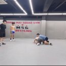 MSG 레슬링 이미지