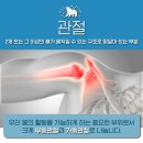 으랏차차한의원 이미지