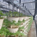 가야산농장 이미지