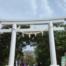 미스터스시 일광점 | 로피아, 나하국제거리, 블루씰, 하나쇼 지마미도후, 마키시공설시장, 나하 이온몰 쿠라스시, 쇼핑리스트