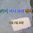 스카이 좌대낚시터 이미지