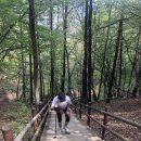 위너레슬링체육관 이미지