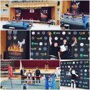 강인합기도 킥복싱 이미지