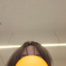 빨간머리앤헤어샵 - 김해시 금관대로1335번길 9 | 대전 둔산동 미용실 친초샵 해수원장님 콜리레드 염색 후기