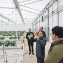 민등농장 이미지