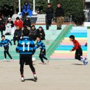 금정초등학교 이미지