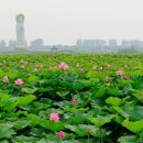 장원골프연습장 이미지