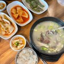 개울건너 | 국물이 진한 세종시 소머리국밥 맛집 개울건너 소머리국밥