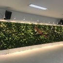 진안군의료원 이미지