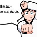 조선대힘찬태권도 이미지
