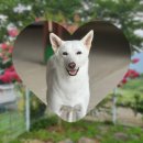 견생개꿀 네이버블로그