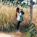 이동국농장 | <인천 2박3일 여행>송도 센트럴파크