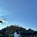 카페도화 - 사상구 사상로 504 | 카페도화